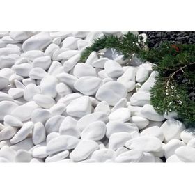Ekodoğa Dolomit Beyaz 10 kg 6-10 cm Dekoratif Taş