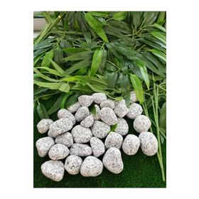 Ekodoğa Granit Dolomit Siyah Beyaz 10 kg 2.5-4 cm Dekoratif Taş
