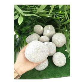 Ekodoğa Granit Dolomit Siyah Beyaz 10 kg 6-10 cm Dekoratif Taş