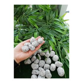 Ekodoğa Granit Dolomit Siyah Beyaz 5 kg 2.5-4 cm Dekoratif Taş
