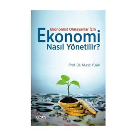 Ekonomi Nasıl Yönetilir? - Murat Yülek