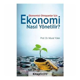 Ekonomi Nasıl Yönetilir? - Murat Yülek