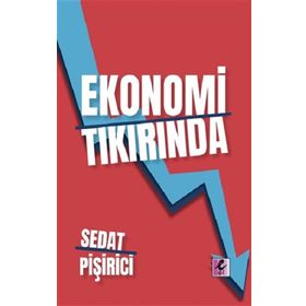 Ekonomi Tıkırında - Sedat Pişirici - Efil Yayınevi