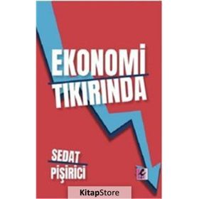 Ekonomi Tıkırında - Sedat Pişirici - Efil Yayınevi