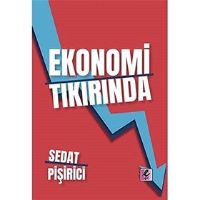 Ekonomi Tıkırında - Sedat Pişirici - Efil Yayınevi
