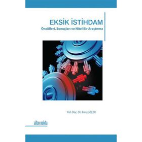 EKSIK İSTIHDAM ÖNCÜLLERI, SONUÇLARI VE NITEL BIR ARAŞTIRMA - BARIŞ SEÇER