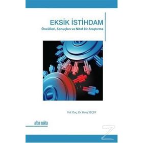EKSIK İSTIHDAM ÖNCÜLLERI, SONUÇLARI VE NITEL BIR ARAŞTIRMA - BARIŞ SEÇER