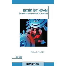EKSIK İSTIHDAM ÖNCÜLLERI, SONUÇLARI VE NITEL BIR ARAŞTIRMA - BARIŞ SEÇER