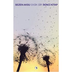 EKSIK ŞİİR - SEZEN AKSU