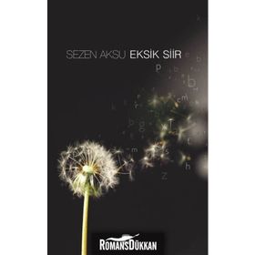 EKSIK ŞİİR - SEZEN AKSU