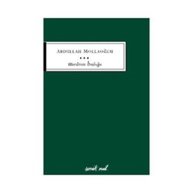EKSIK YIL MERDIVEN BOŞLUĞU - ABDULLAH MOLLAOĞLU