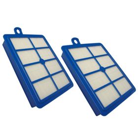 Electrolux EFS1W Alerji Plus Hepa Filtre