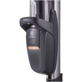 Electrolux PF91-4IG Pure Dikey Şarjlı Süpürge