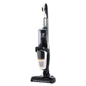 Electrolux PF91-ALRGY PURE-F9 Dikey Şarjlı Süpürge