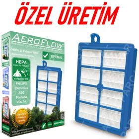 Electrolux ZUA 3830P 2 Adet Ultra Active Güçlü Hepa 13 Filtre