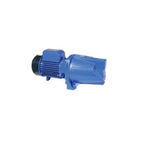 Elektro Maschinen WPEM11500GSS Bahçe Pompası