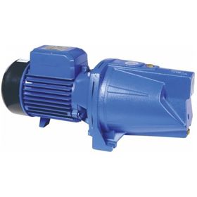 Elektro Maschinen WPEM11500GST Bahçe Pompası