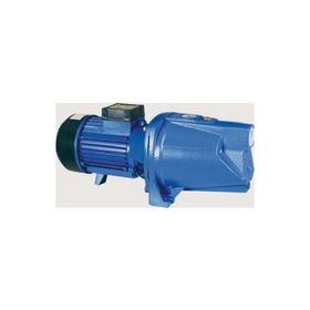 Elektro Maschinen WPEM11500GST Bahçe Pompası