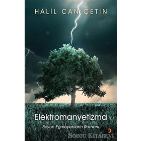 Elektromanyetizma - Halil Can Çetin