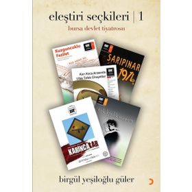 Eleştiri Seçkileri 1 - Birgül Yeşiloğlu Güler