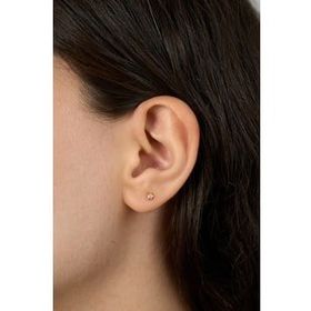 Elika Silver 925 Ayar Gümüş Minimal Yıldız Model Rose Küpe