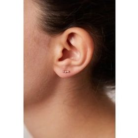 Elika Silver Kadın Minimal Üç Taş Model 925 Ayar Gümüş Rose Küpe