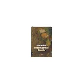 Elinden Kaza Çıkan Kadınlar - Asiye Müjgan Güvenli