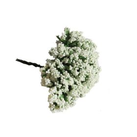 Elitetime P144-100 AR1011K Krem Cipso Çiçek