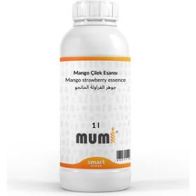 Elito 1 lt Mango Çilek Esansı