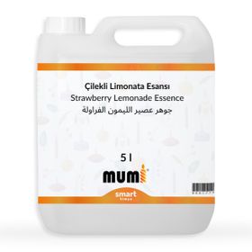 Elito 5 lt Premium Çilekli Limonata Esansı