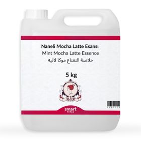 Elito 5 lt Premium Naneli Mocha Latte Esansı