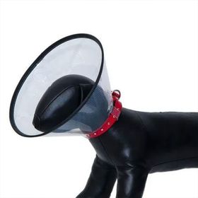 Elizabeth Kedi Köpek 15 cm Yakalığı