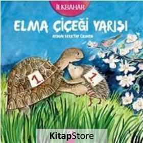 Elma Çiçeği Yarışı - Aysun Berktay