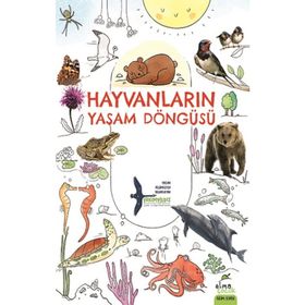 Elma Çocuk Hayvanların Yaşam Döngüsü