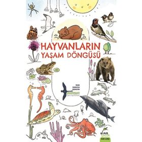 Elma Çocuk Hayvanların Yaşam Döngüsü