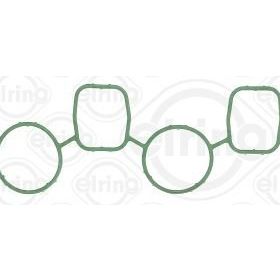 Elring Emme Manifold Contasi
