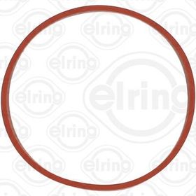 Elring Emme Manifold Contasi