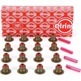 Elring N40 N42 N45 N46 Sübap Lastiği