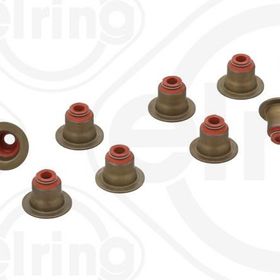 Elring N40 N42 N45 N46 Sübap Lastiği