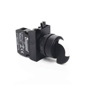 Emas CP100S20 0-1 Seçici Buton