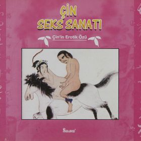 EMEĞİN ALNINDAN DÖKÜLENLER - DURAN ANGIN