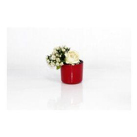 Emin Home 11 cm 0.82 lt 6 Adet Mimoza Saksı