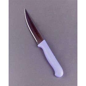 Eminox Renkli Saplı Ekmek Bıçak