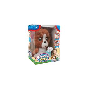 Emotion Pets Evcil Hayvanlar