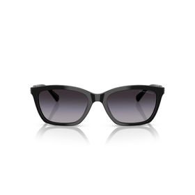 Emporio Armani 0EA 4238 50178G 54 Kadın Güneş Gözlüğü