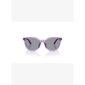 Emporio Armani 4007U 628080 49-17 Kadın Güneş Gözlüğü