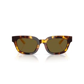 Emporio Armani 4233U 618173 53 Kadın Güneş Gözlüğü