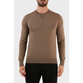 Emporio Armani 6L1MXJ 1MBPZ 0431 Bej Erkek Kazak
