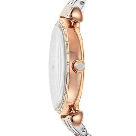 Emporio Armani AR11293 Kadın Kol Saati