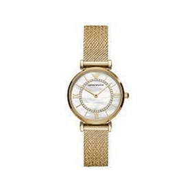 Emporio Armani AR11321 Kadın Kol Saati